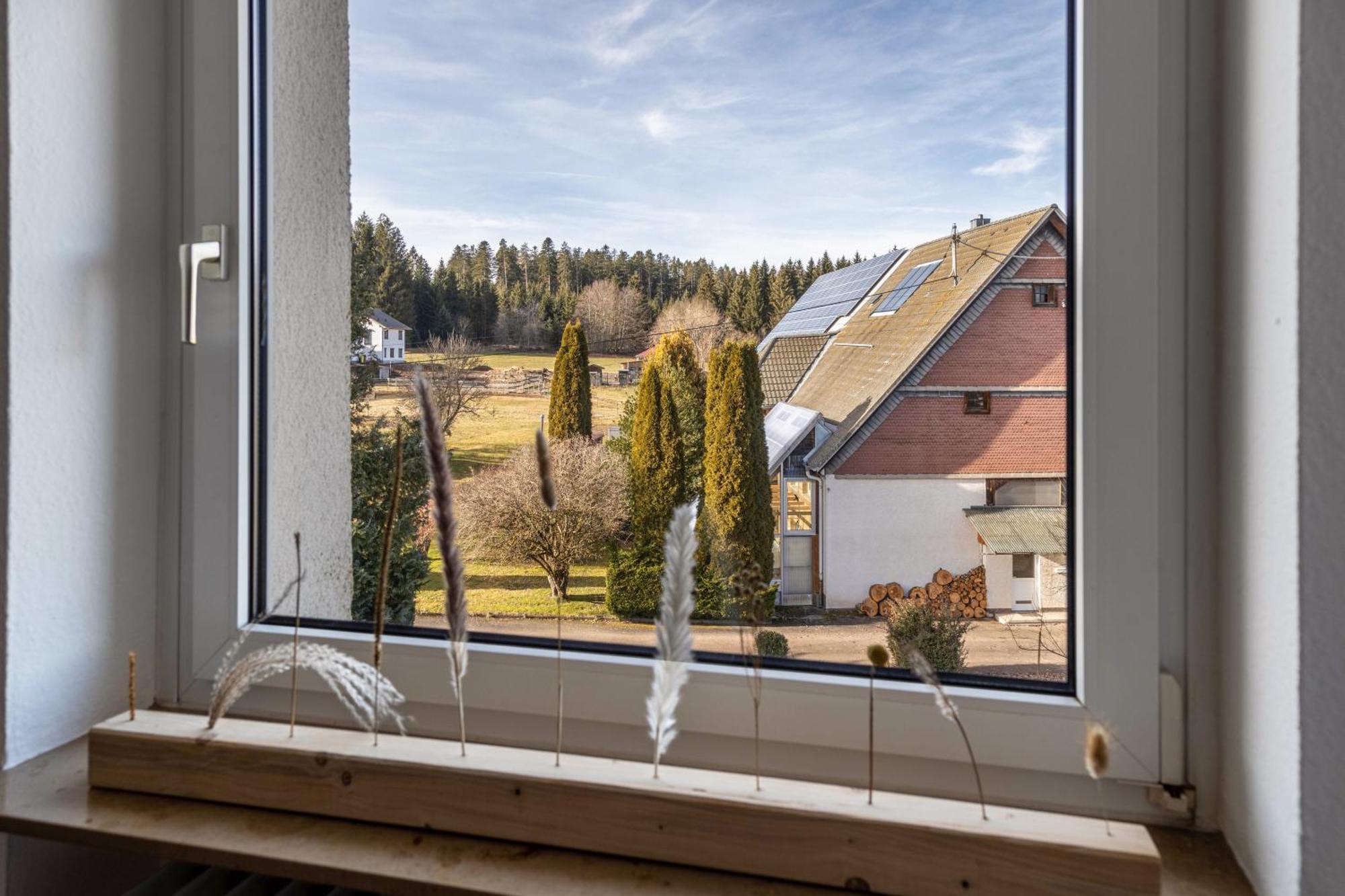 Ferienwohnung Huettennest Villingen-Schwenningen Extérieur photo